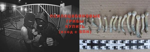 jwh Алзамай
