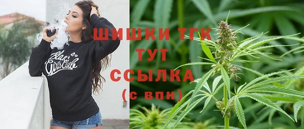 дмт Абаза