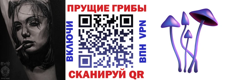 OMG онион  закладка  Шацк  Псилоцибиновые грибы MAGIC MUSHROOMS 